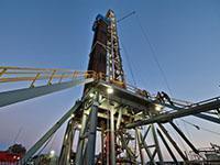 Экспертные услуги